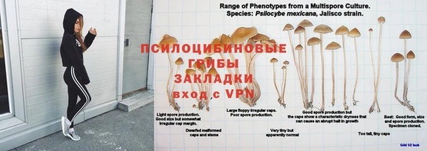 спиды Покачи