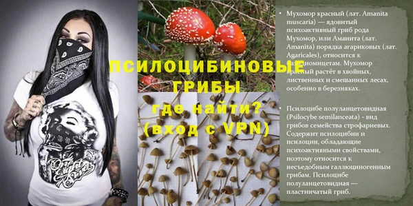 jwh Покров