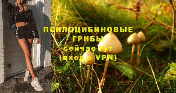 молекула духа Аркадак