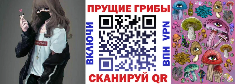 купить   Нововоронеж  Галлюциногенные грибы Magic Shrooms 