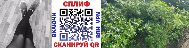 мега ONION  Нововоронеж  Канабис гибрид  где найти  